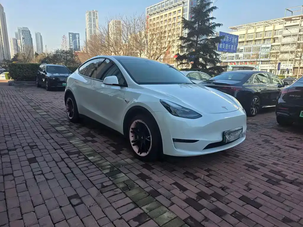 Tesla Model Y — фото 3