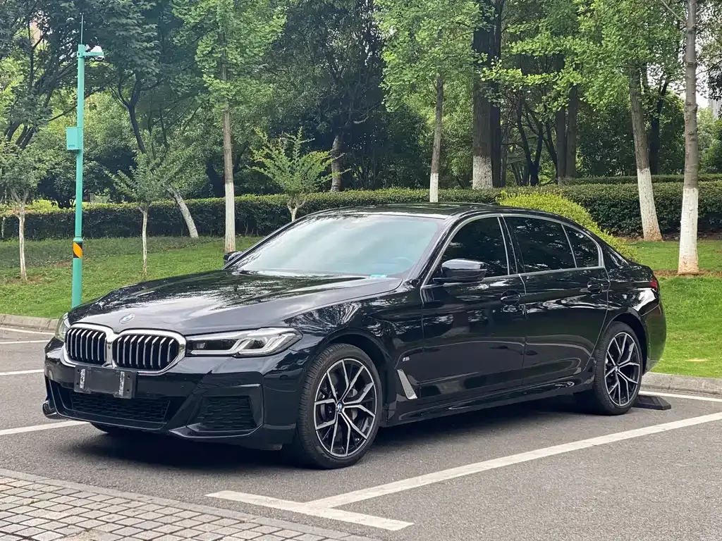 BMW 5 Series 2021 из CN, фото 1