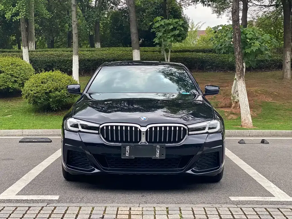 BMW 5 Series 2021 из CN, фото 5