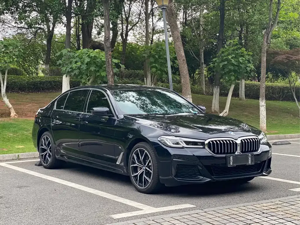 BMW 5 Series 2021 из CN, фото 9