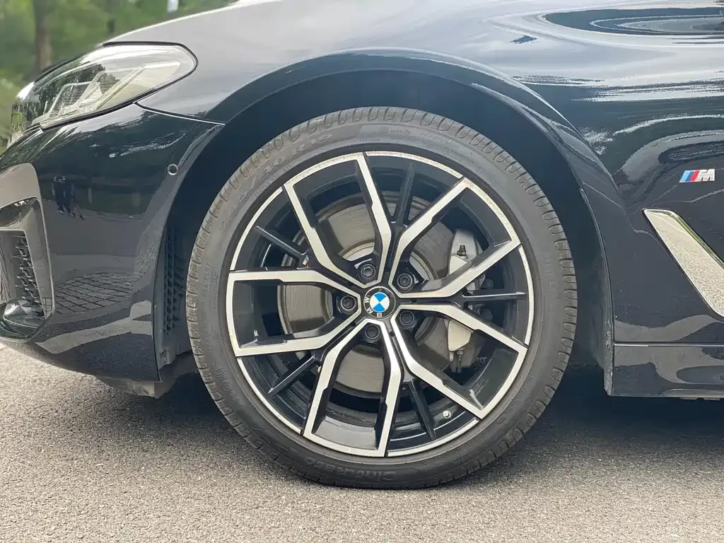 BMW 5 Series 2021 из CN, фото 6