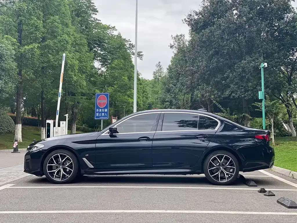 BMW 5 Series 2021 из CN, фото 10
