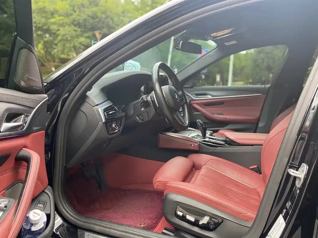 BMW 5 Series 2021 из CN, фото 7