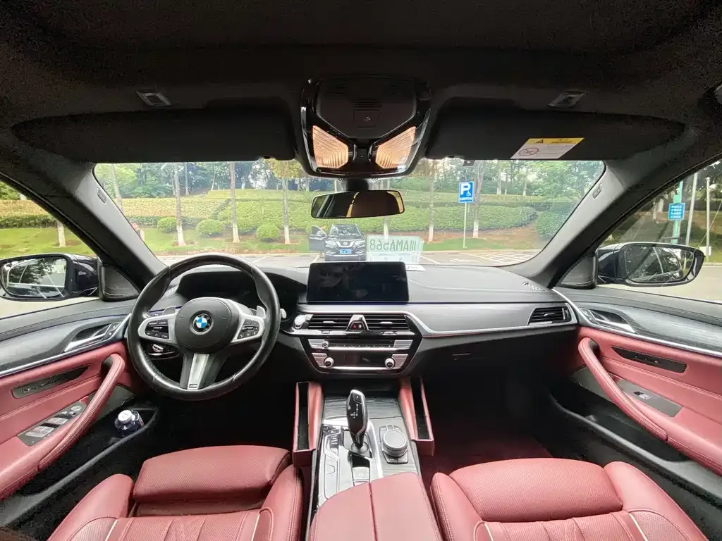 BMW 5 Series 2021 из CN, фото 2