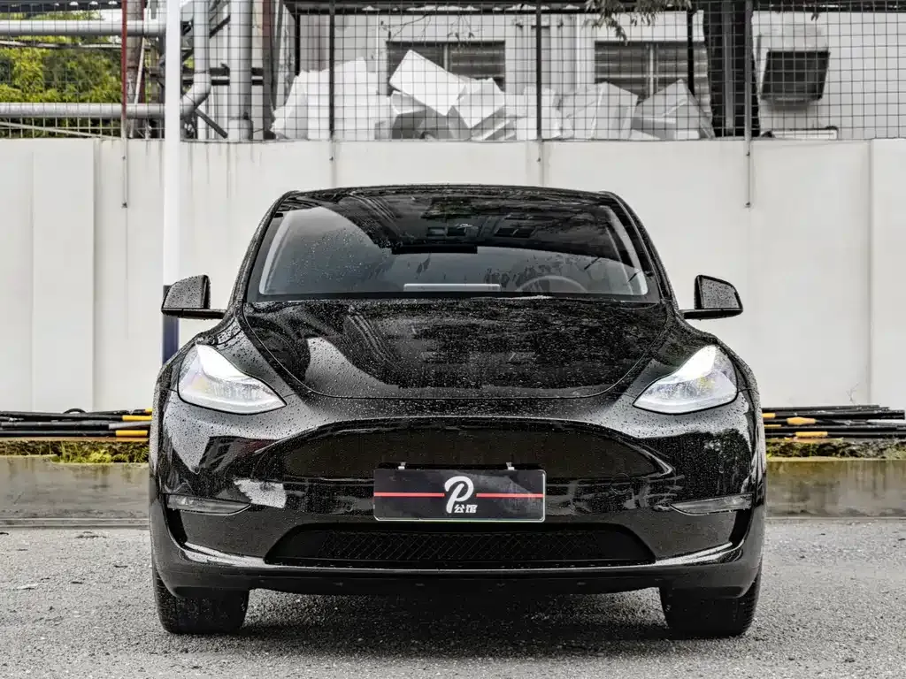 Tesla Model Y 2022 из CN, фото 7