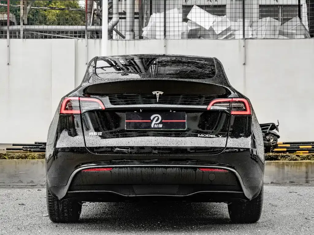 Tesla Model Y 2022 из CN, фото 9