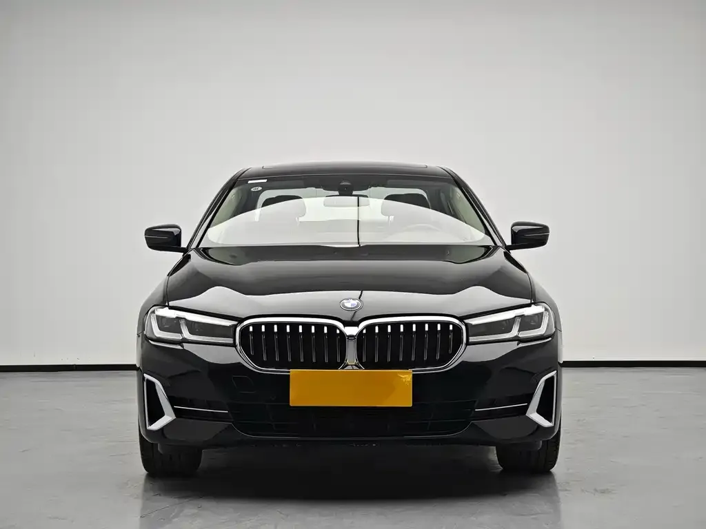 BMW 5 Series 2024 из CN, фото 7