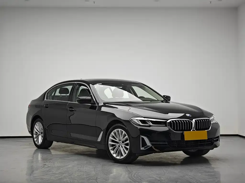 BMW 5 Series 2024 из CN, фото 8