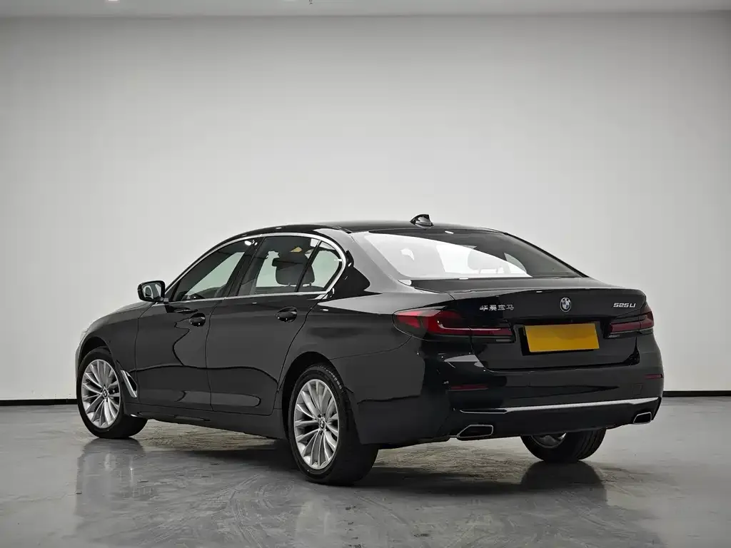 BMW 5 Series 2024 из CN, фото 10