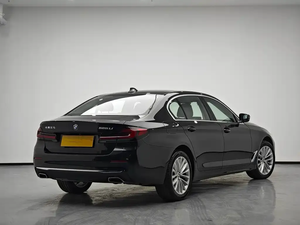 BMW 5 Series 2024 из CN, фото 5