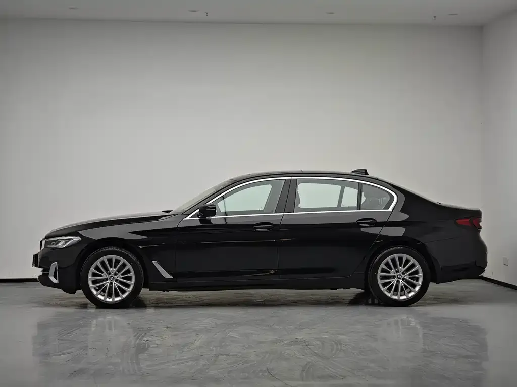 BMW 5 Series 2024 из CN, фото 9