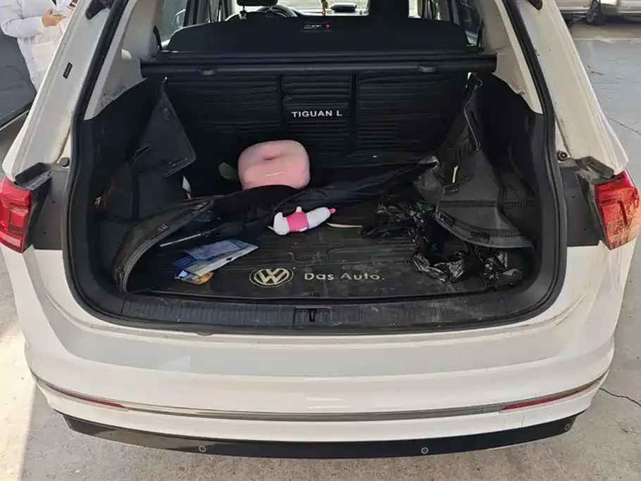Volkswagen Tiguan L 2021 из CN, фото 4