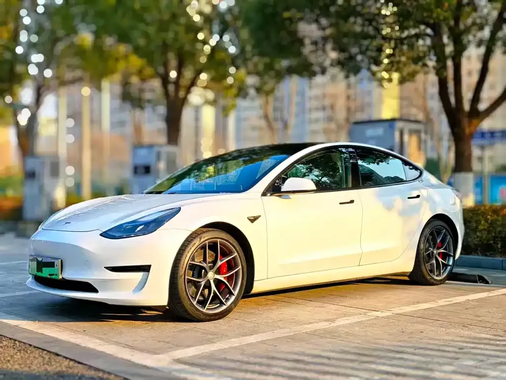 Tesla Model 3 2021 из CN, фото 1