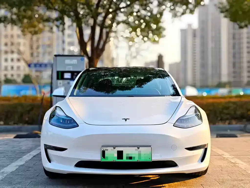 Tesla Model 3 2021 из CN, фото 2