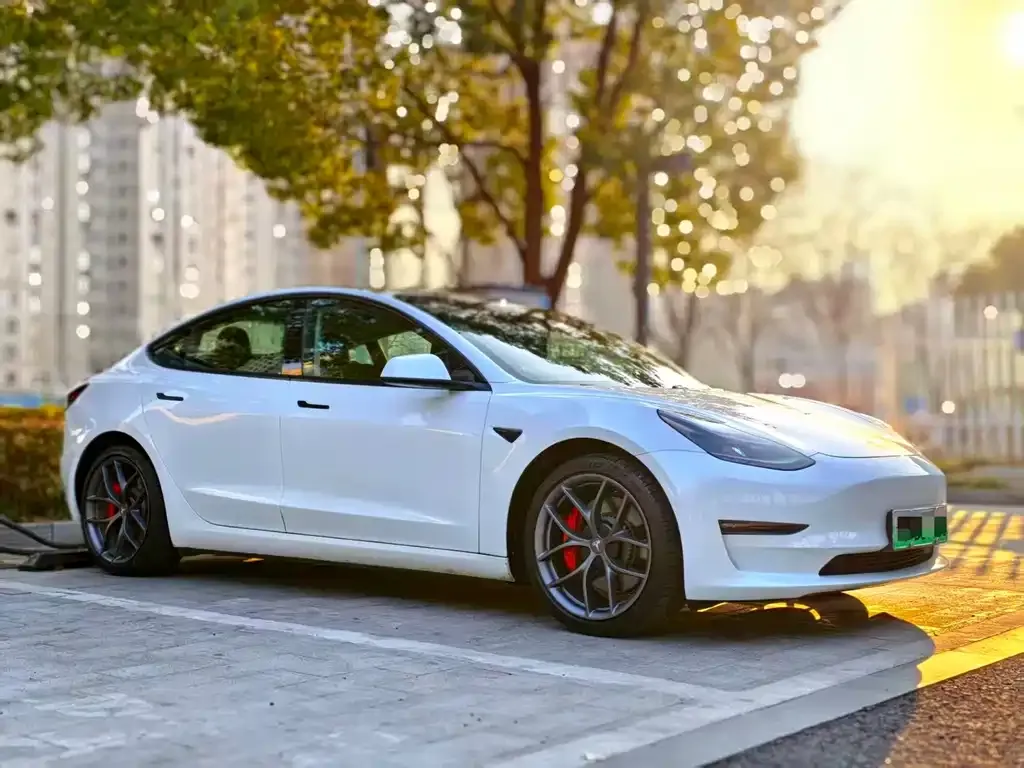 Tesla Model 3 2021 из CN, фото 7