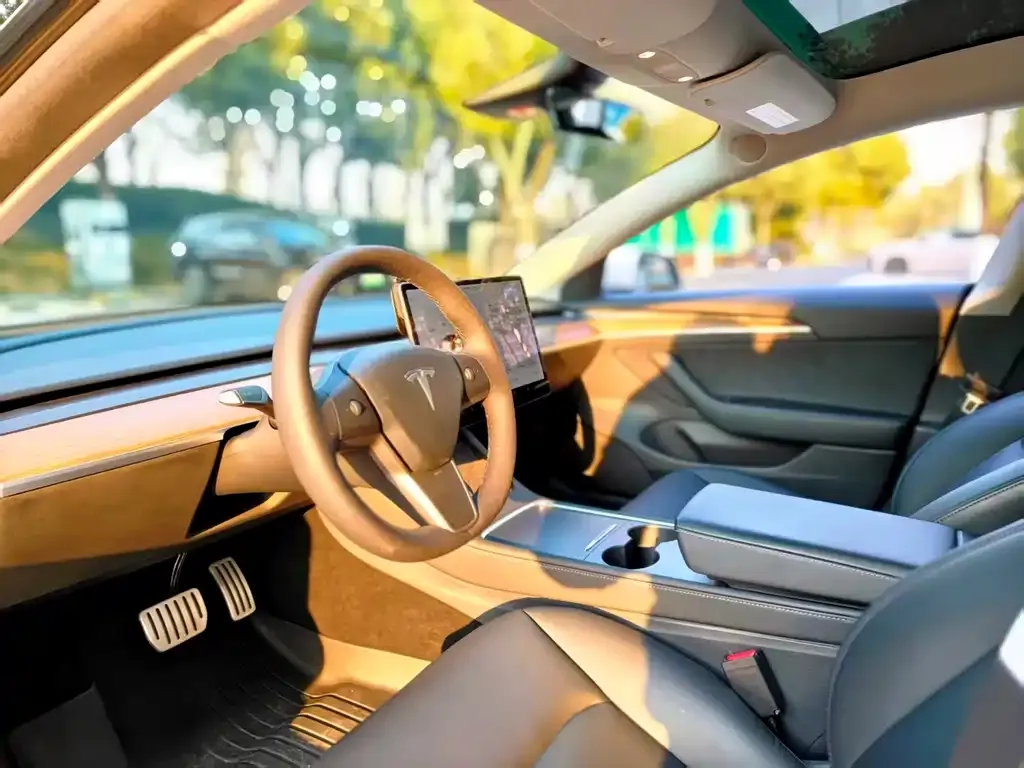 Tesla Model 3 2021 из CN, фото 3