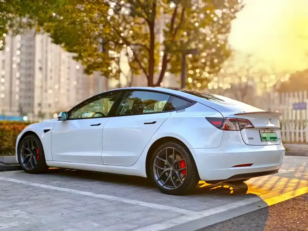 Tesla Model 3 2021 из CN, фото 4