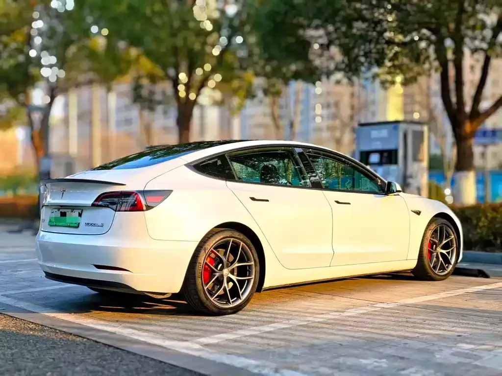 Tesla Model 3 2021 из CN, фото 9