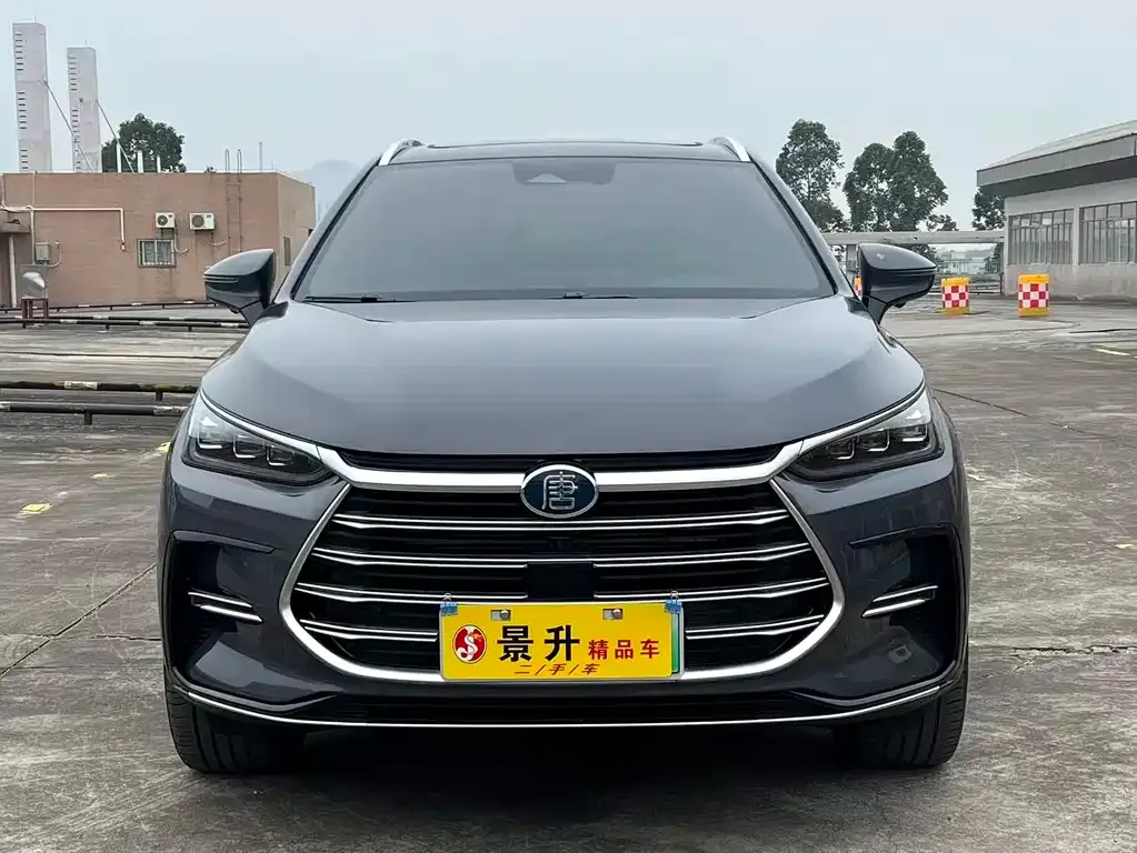 BYD Tang New Energy 2023 из CN, фото 2