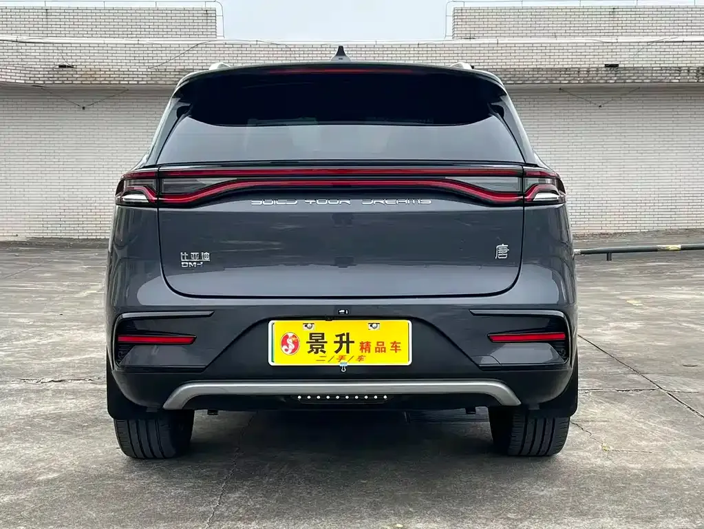 BYD Tang New Energy 2023 из CN, фото 4