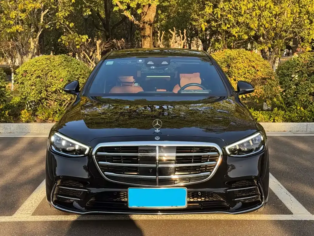 Mercedes-Benz S-Class 2021 из CN, фото 8