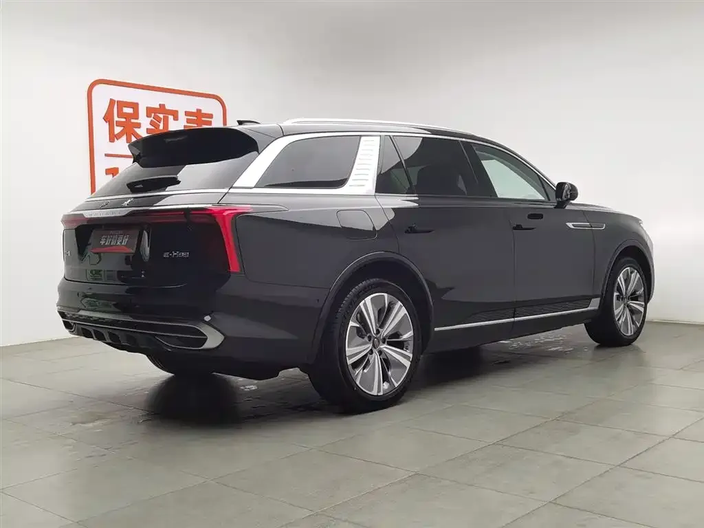 Hongqi E-HS9 2023 из CN, фото 6
