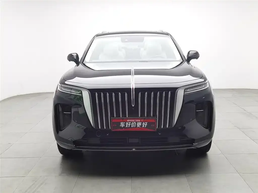 Hongqi E-HS9 2023 из CN, фото 5