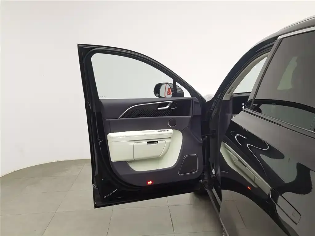 Hongqi E-HS9 2023 из CN, фото 9
