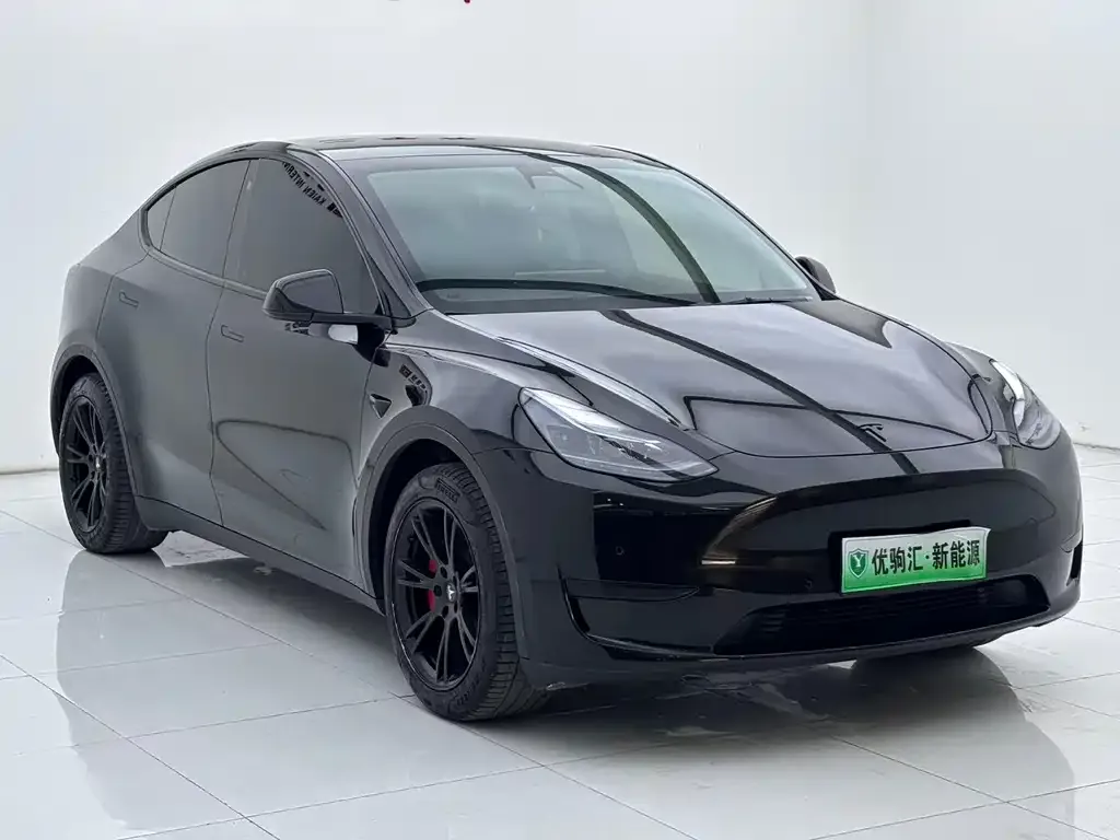 Tesla Model Y — фото 8