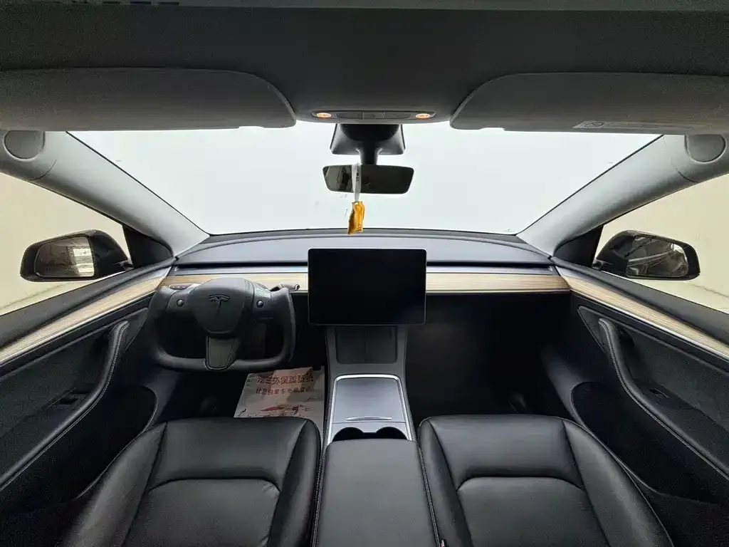 Tesla Model Y — фото 10