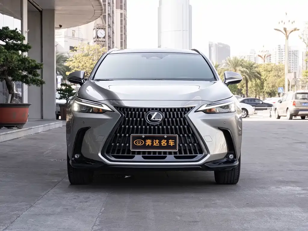 Lexus NX 2023 из CN, фото 8