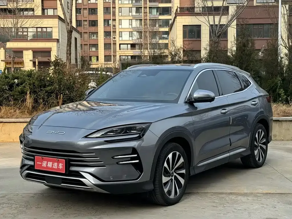 BYD PLUS New Energy 2024 из CN, фото 1