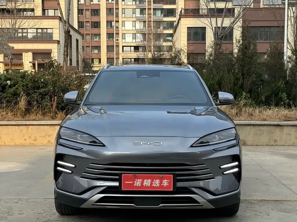 BYD PLUS New Energy 2024 из CN, фото 2