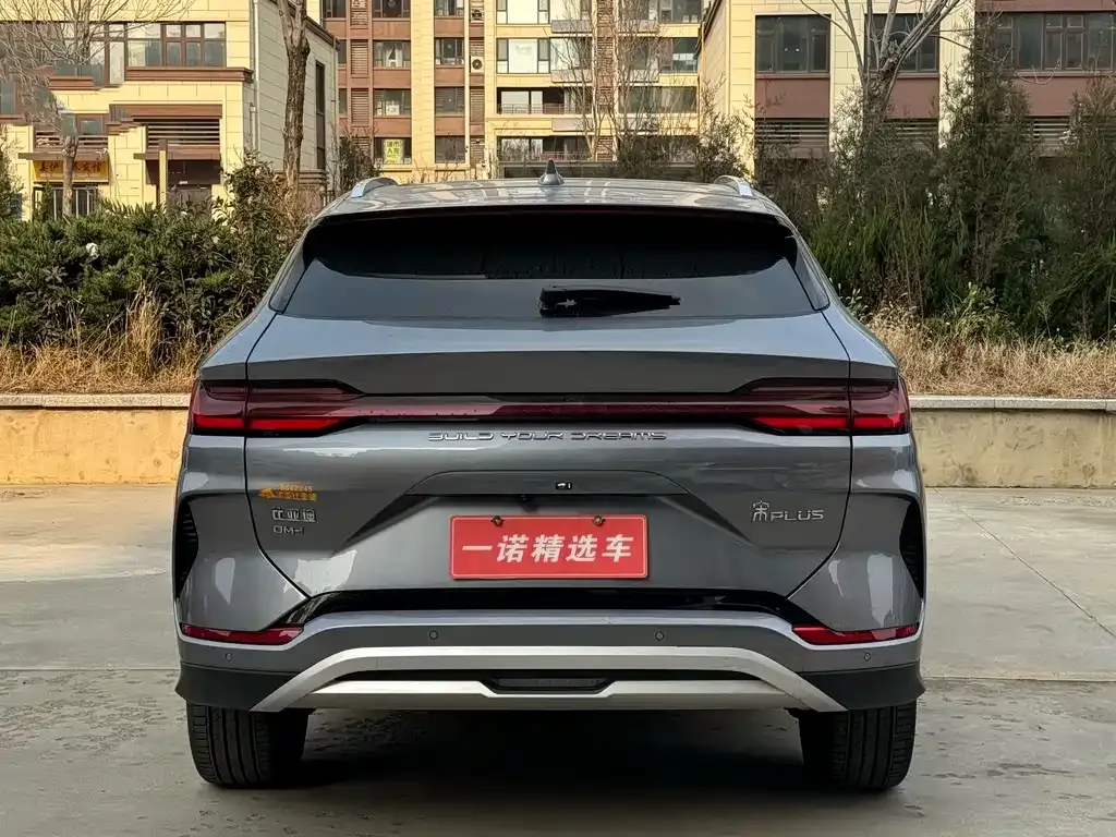 BYD PLUS New Energy 2024 из CN, фото 4