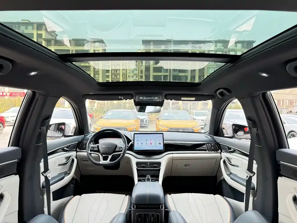 BYD PLUS New Energy 2024 из CN, фото 5