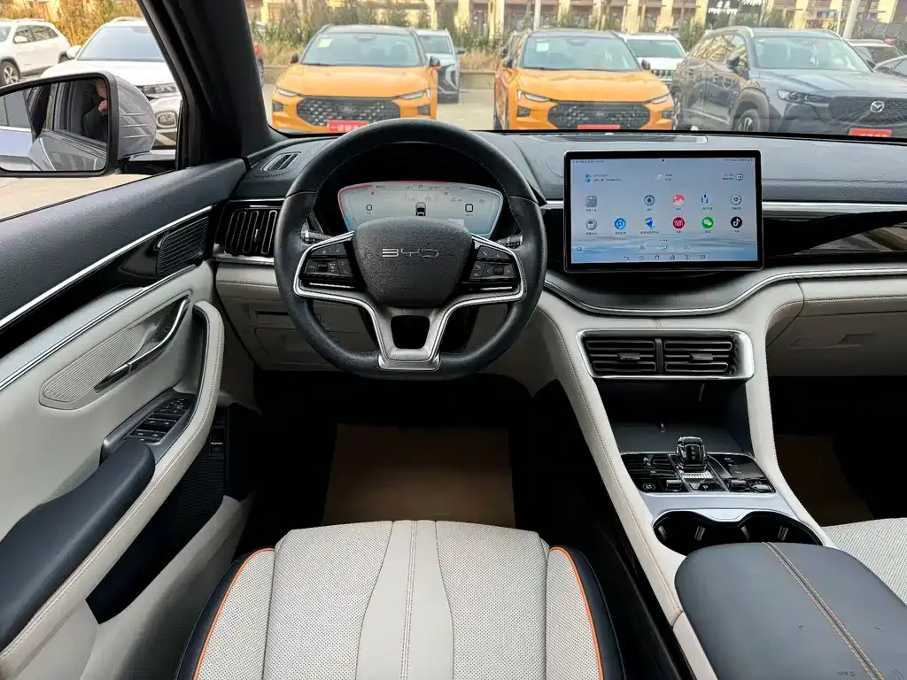 BYD PLUS New Energy 2024 из CN, фото 8