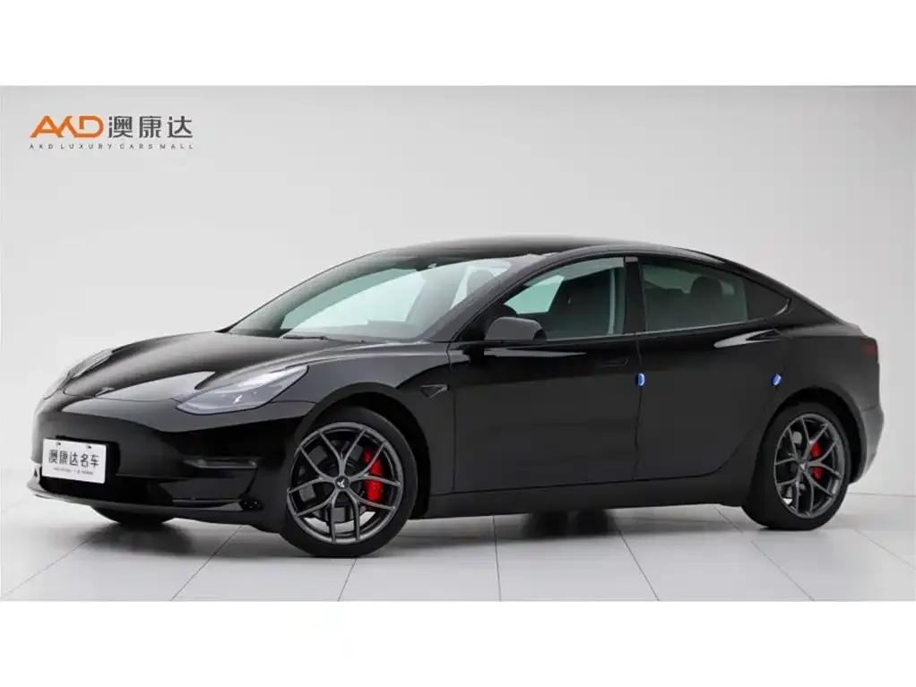 Tesla Model 3 2023 из CN, фото 1