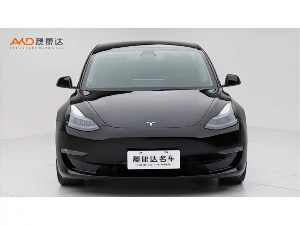 Tesla Model 3 2023 из CN, фото 2