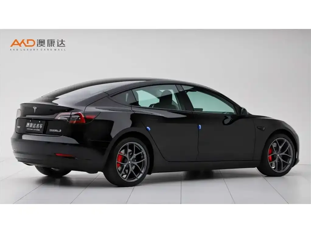 Tesla Model 3 2023 из CN, фото 6