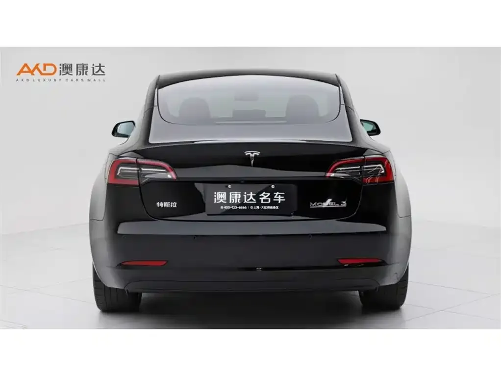 Tesla Model 3 2023 из CN, фото 10