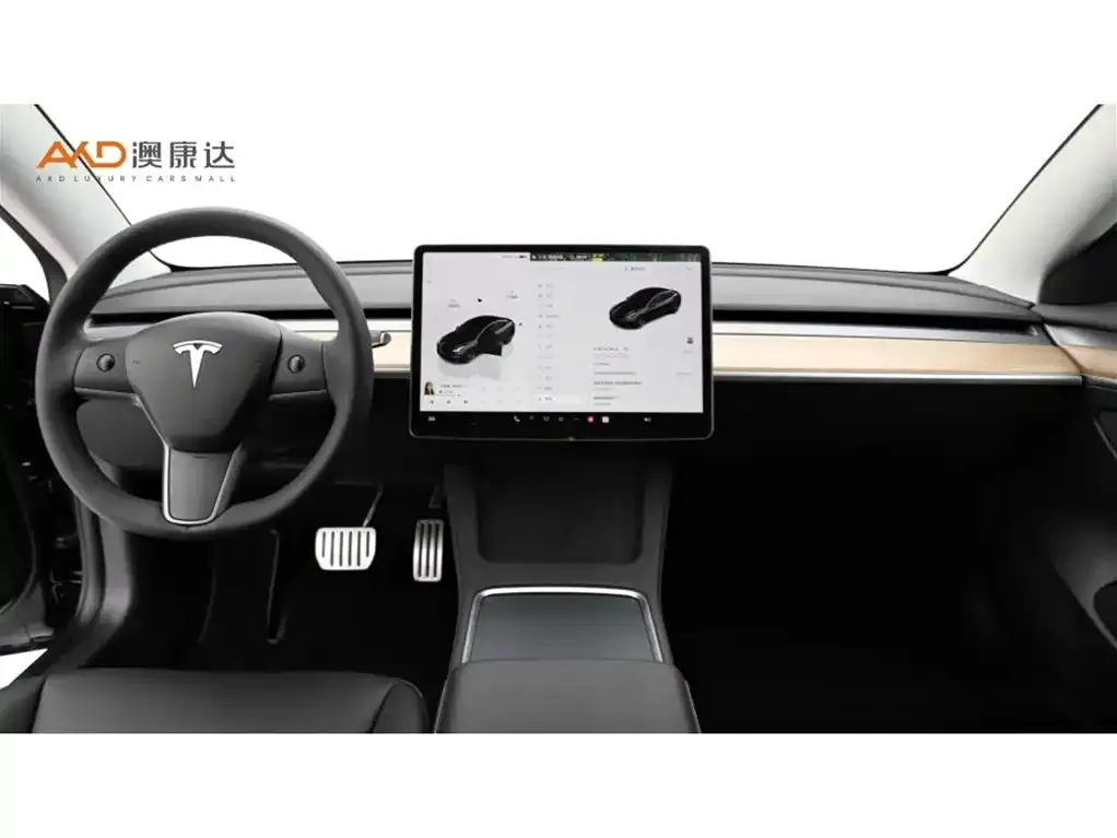Tesla Model 3 2023 из CN, фото 5