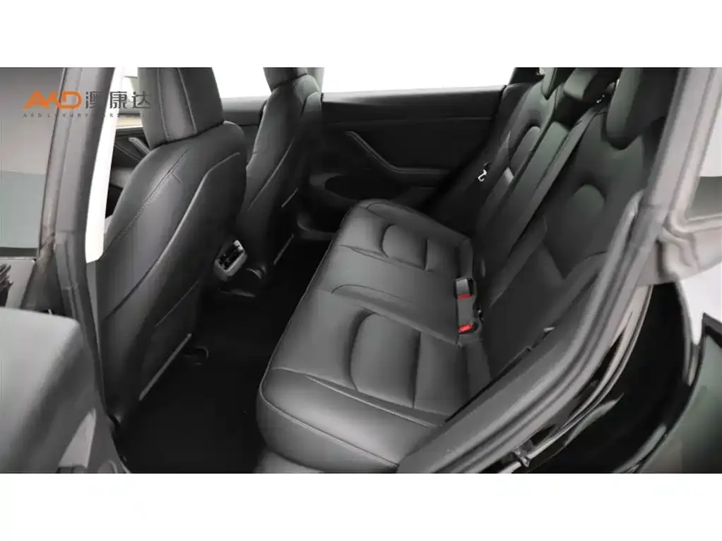Tesla Model 3 2023 из CN, фото 3