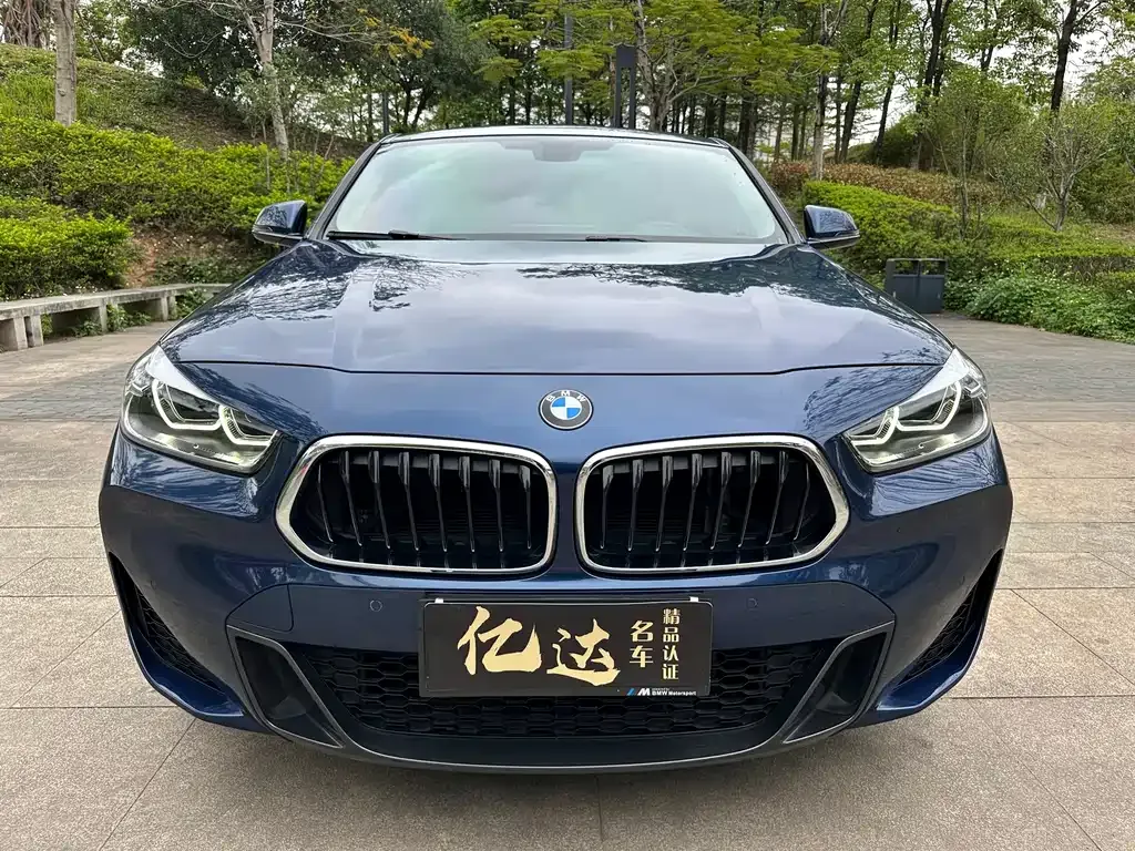 BMW X2 2022 из CN, фото 5