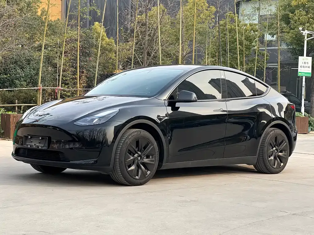 Tesla Model Y 2023 из CN, фото 1