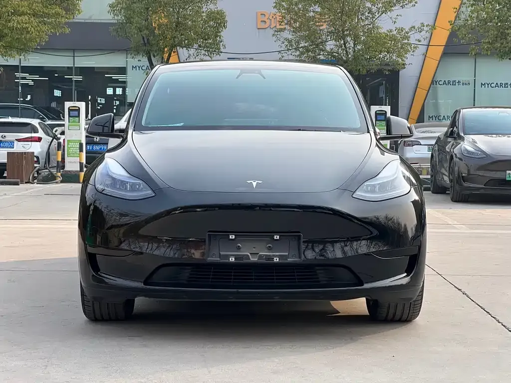Tesla Model Y 2023 из CN, фото 2