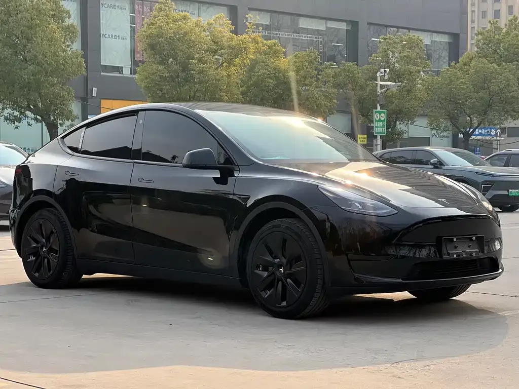 Tesla Model Y 2023 из CN, фото 3