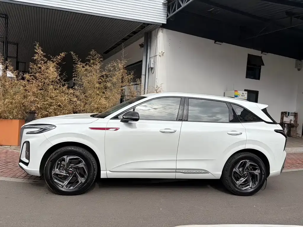 Hongqi HS3 2023 из CN, фото 4
