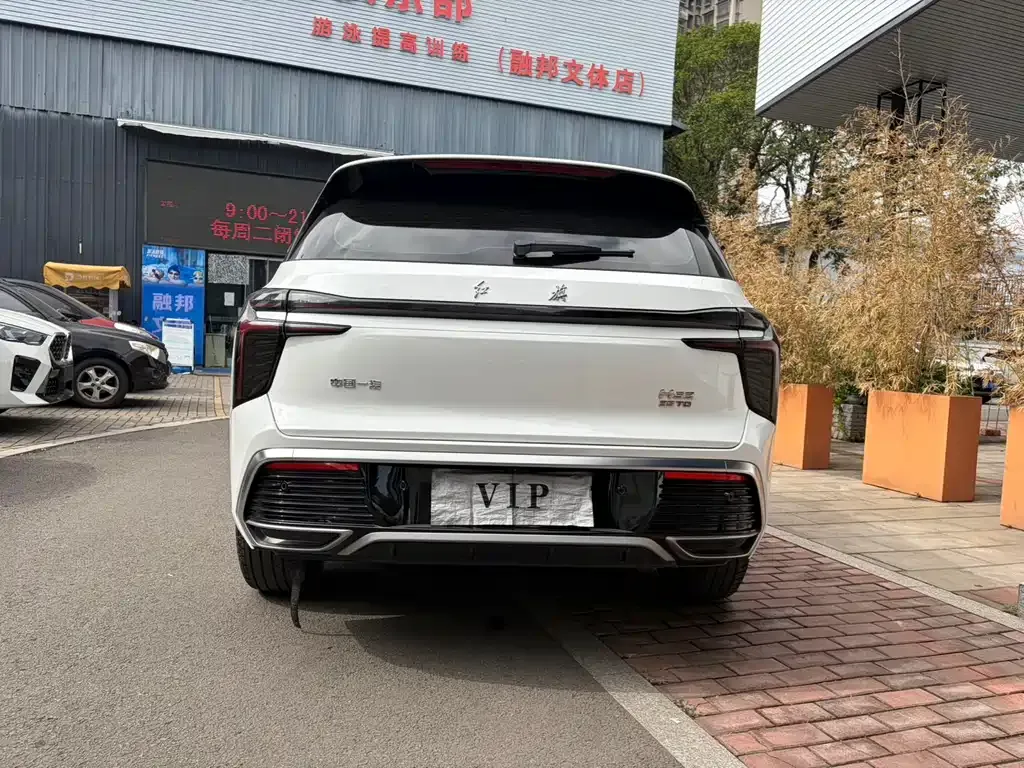 Hongqi HS3 2023 из CN, фото 6
