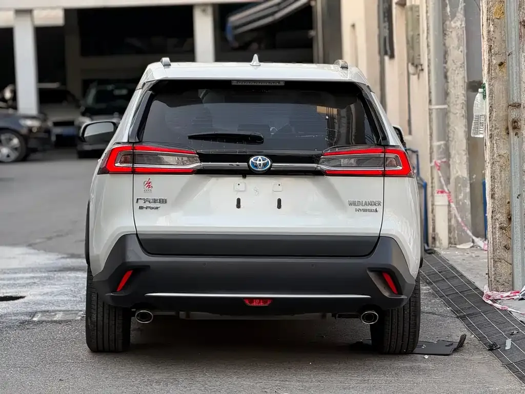 Toyota Wildlander 2023 из CN, фото 9