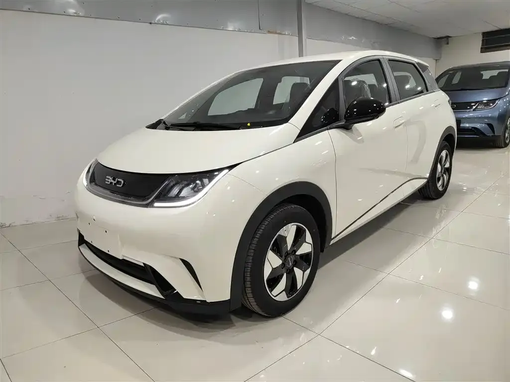 BYD Dolphin 2025 из CN, фото 1